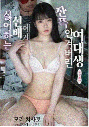 秘密森林韩剧海报